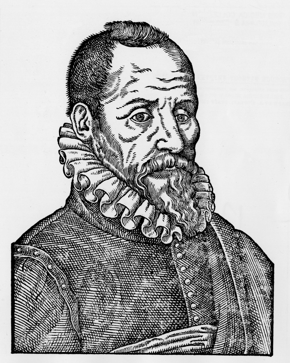 Portræt af Ambroise Paré (1509-1590), fransk kirurg af Unknown artist