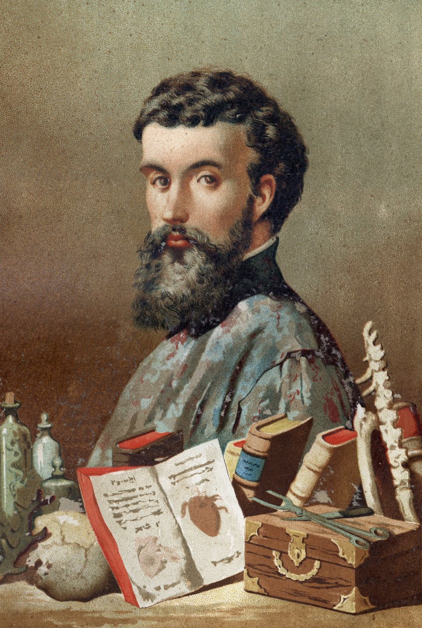 Portræt af André Vésale (1514-1564), hollandsk anatom (på latin: Andrea Vesalius, på hollandsk: Andries Van Wesel) fra "Science and its Men" af Louis Figuier. Barcelona 1881. af Unknown artist