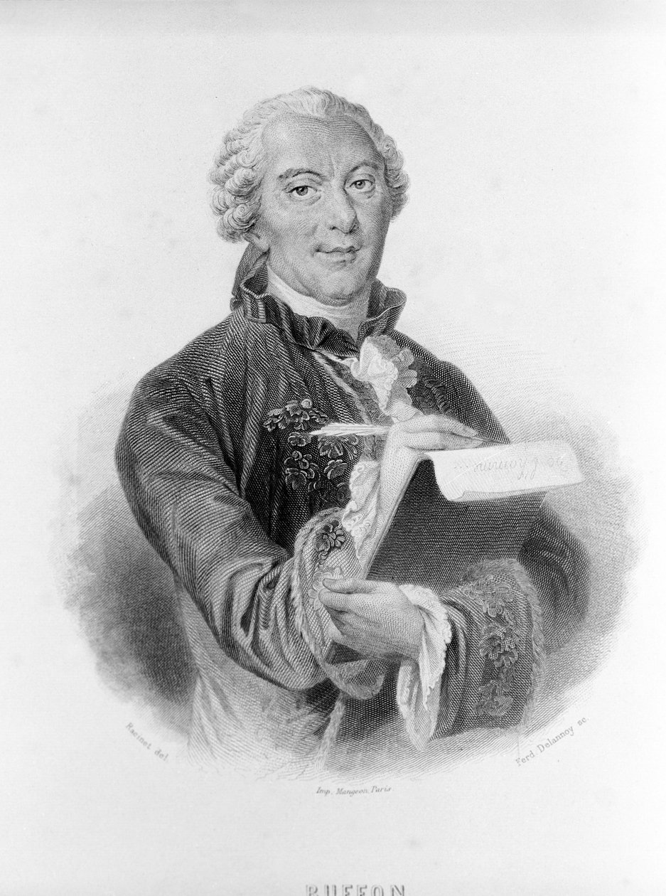 Portræt af Buffon (1707 - 1788), fransk naturforsker og forfatter. af Unknown artist