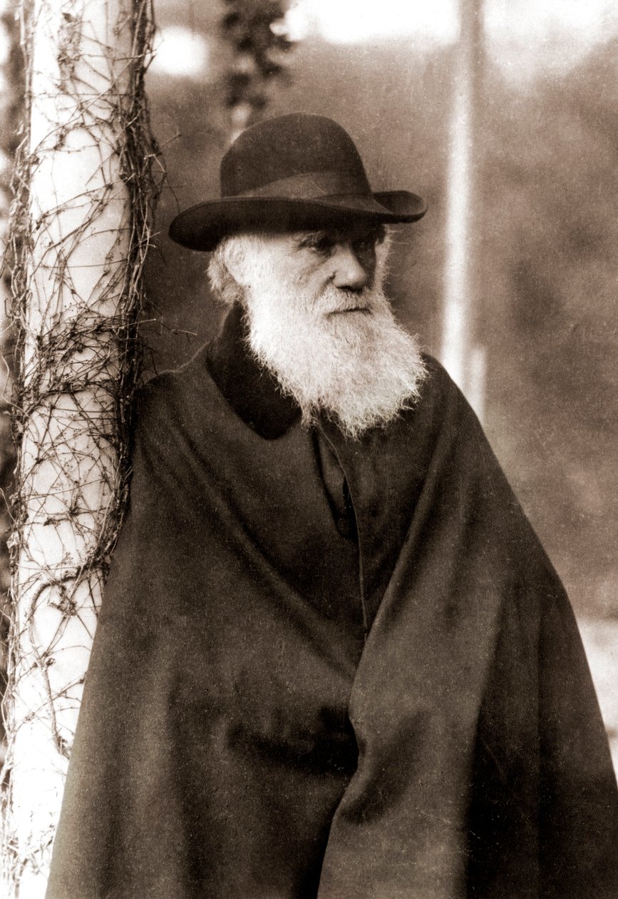 Portræt af Charles Darwin (1809-1882) af Unknown artist