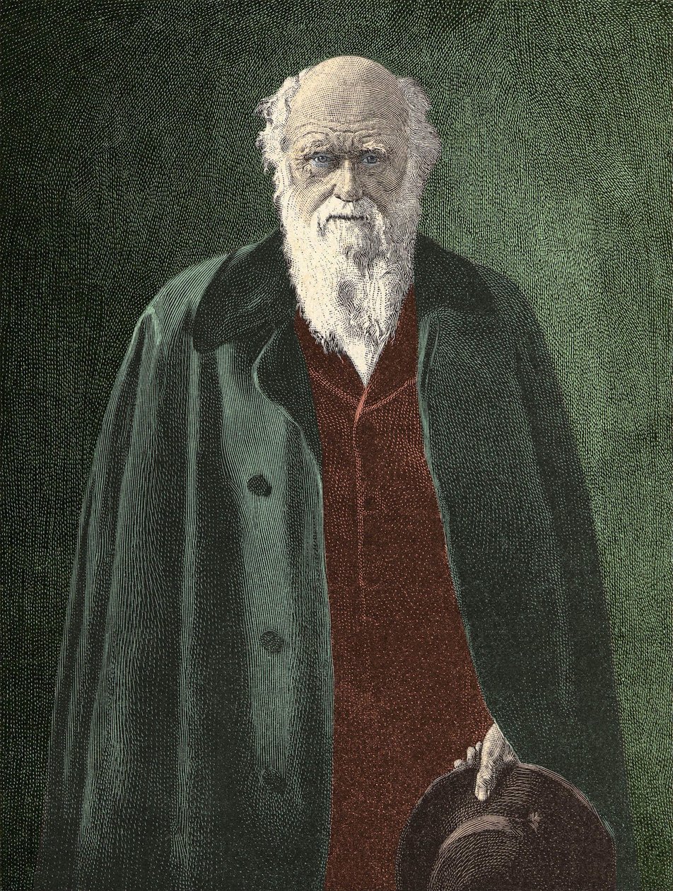 Portræt af Charles Darwin (1809 - 1882) af Unknown artist