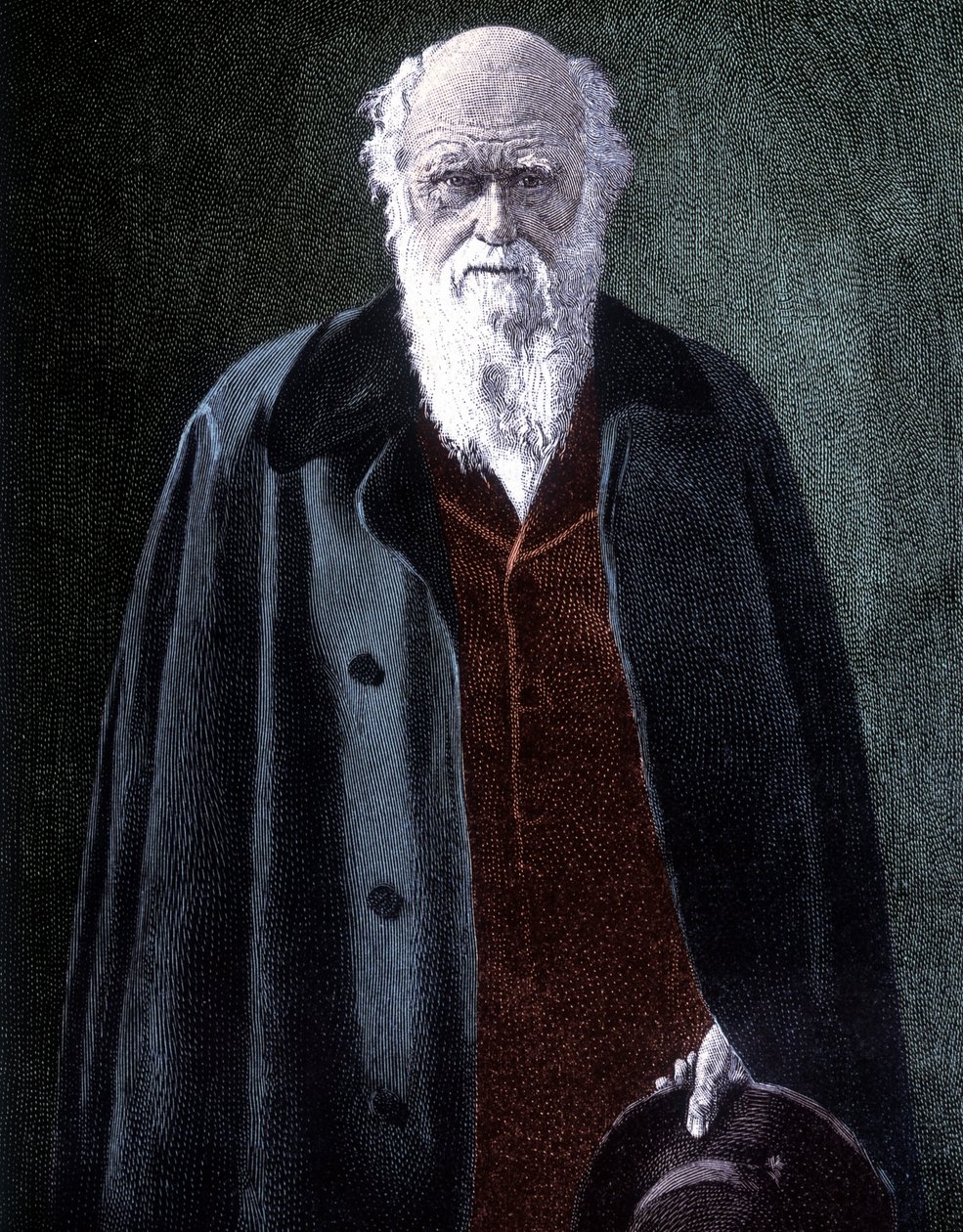 Portræt af Charles Darwin, britisk naturforsker (1809 - 1882) af Unknown artist