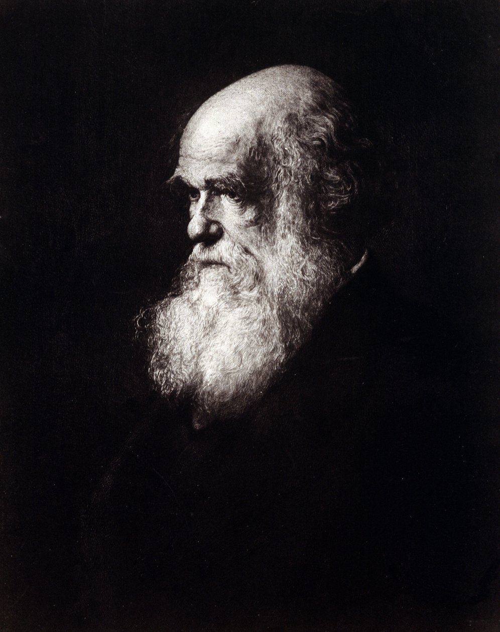 Portræt af Charles Robert Darwin (1809 - 1882) af Unknown artist