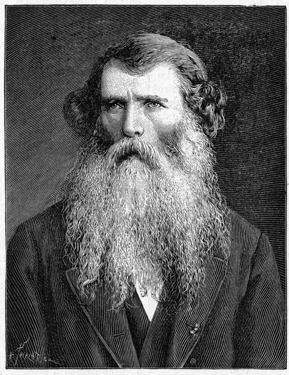 Portræt af Charles Victor Naudin, fransk botaniker. (1815-1899).Gravering af 1898. i "" La Nature. Gennemgang af videnskaber og deres anvendelser til kunst og industri." af Unknown artist