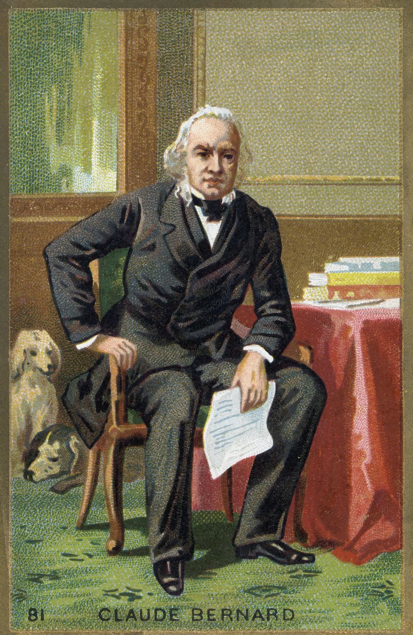 Portræt af Claude Bernard (1813-1878), fransk fysiolog. af Unknown artist