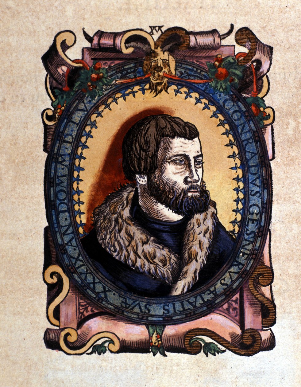 Portræt af Conrad Gesner (1516 - 1565) Zürich -læge efter dyrenes historie af Conrad Gesner, Tiguri 1560. Bibloideae Nazionale Braense. Milan af Unknown artist