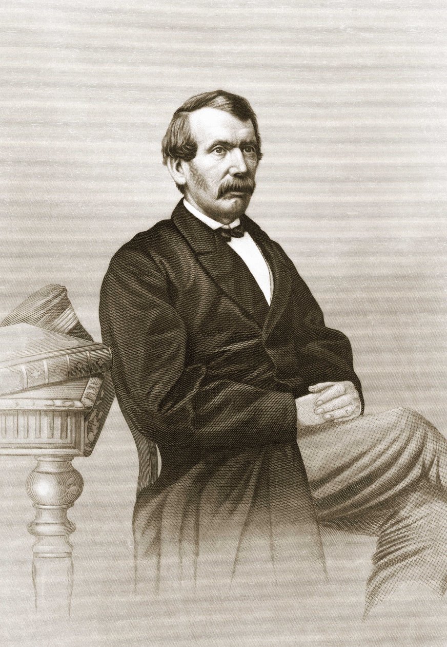 Portræt af David Livingstone (1813 - 1873). af Unknown artist