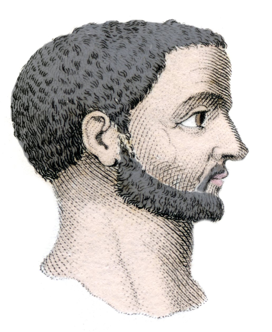 Portræt af Diocletian (Gaius Aurelius Valerius Diocletianus, 245-316), romersk kejser fra 284 til 305. Stik fra det 19. århundrede. af Unknown artist
