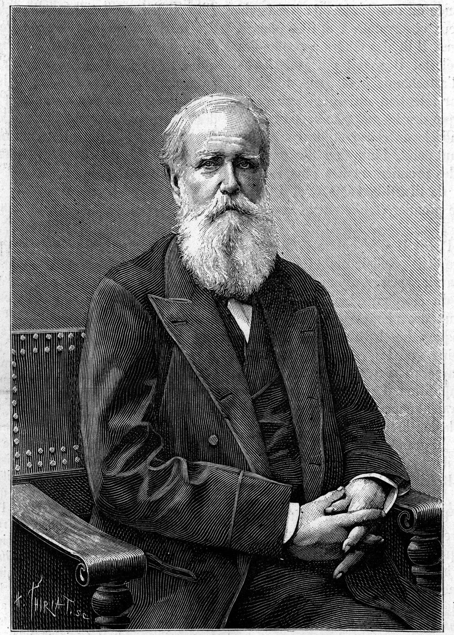 Portræt af Dom Pedro II af Alcantara (Peter II) (1825-1891), kejser af Brasilien. (Fra et fotografi af Nadar). Indgravering i "" Nature: gennemgang af videnskaberne og deres anvendelser til kunst og industri "" af 12. december 1891. af Unknown artist