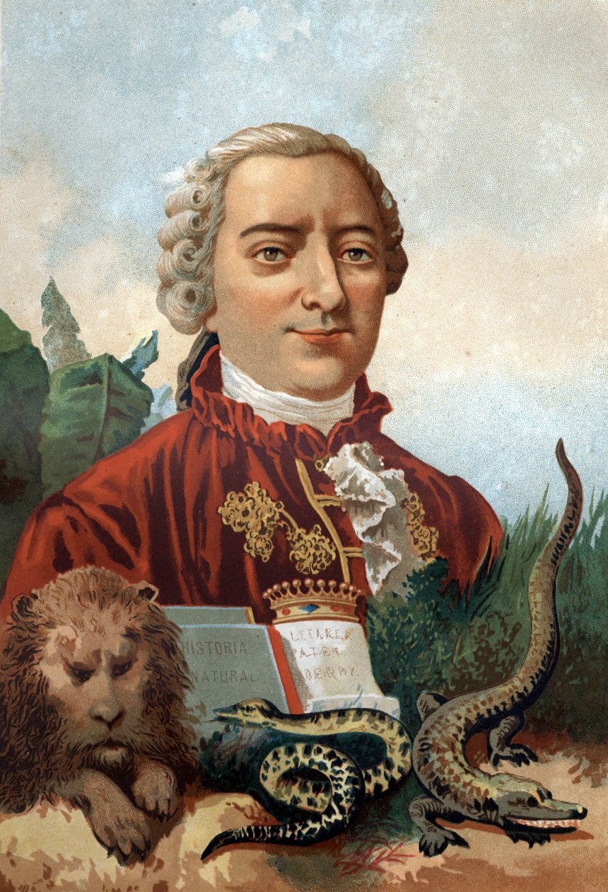 Portræt af Georges Louis Leclerc, greve af Buffon (1707 - 1788), fransk naturforsker og forfatter. Kromolitografi 1800-tallet. efter "Science and its Men"" af Louis Figuier. Barcelona 1881 af Unknown artist