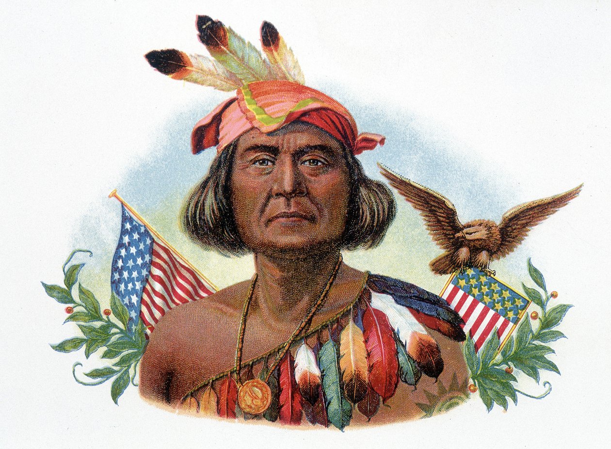 Portræt af Geronimo, Apache-kok foran amerikanske flag. Kromolitografi af det 19. århundrede. af Unknown artist