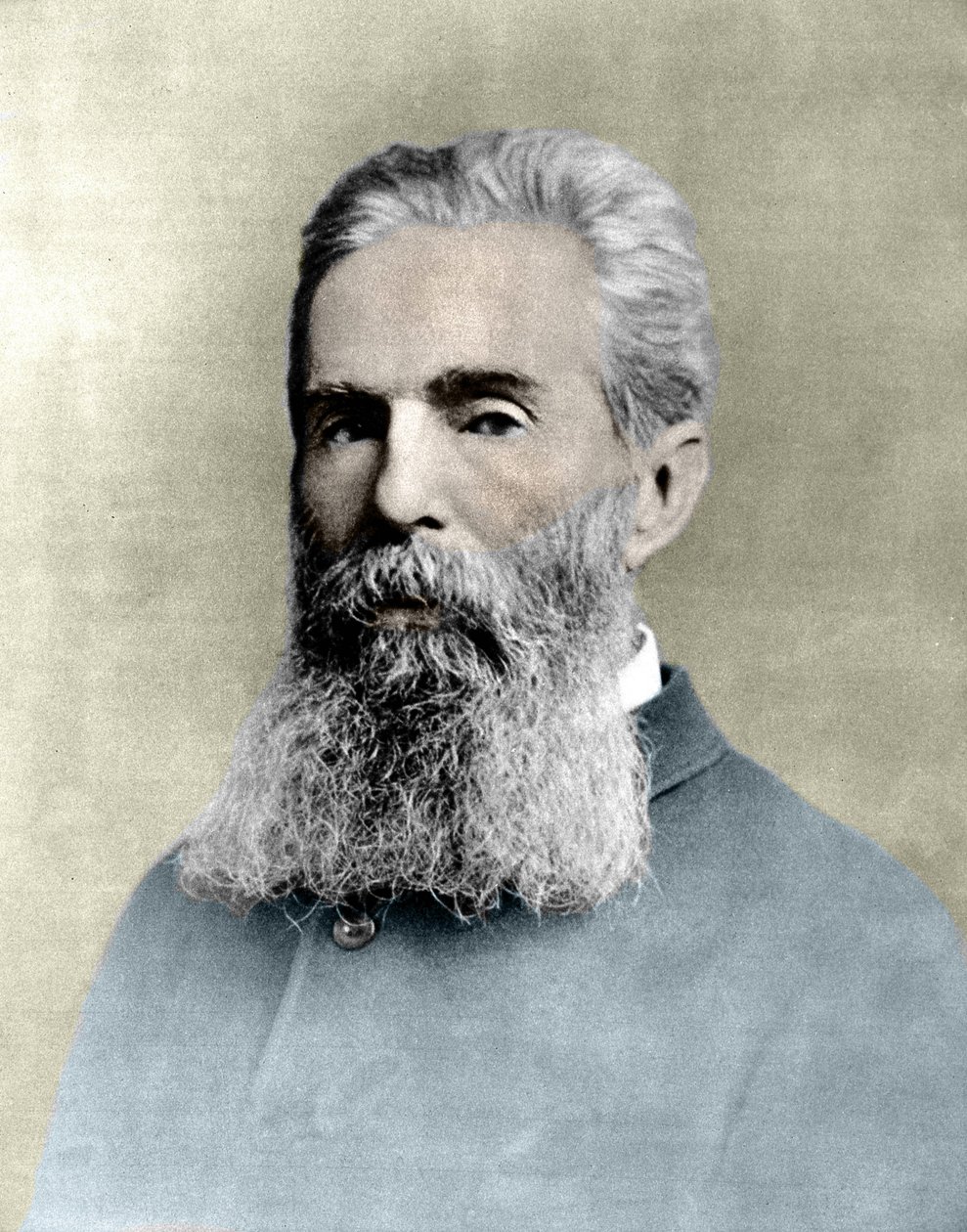 Portræt af Herman Melville (1819 -1891) amerikansk forfatter. af Unknown artist