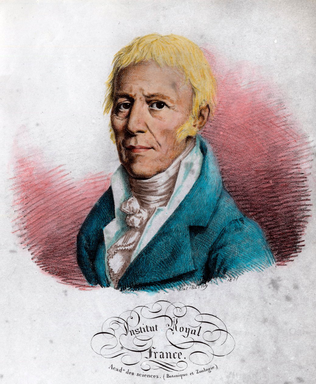 Portræt af Jean Baptiste Lamarck (1744-1829), fransk naturforsker. Indgravering af det 19. århundrede. Privat samling. af Unknown artist