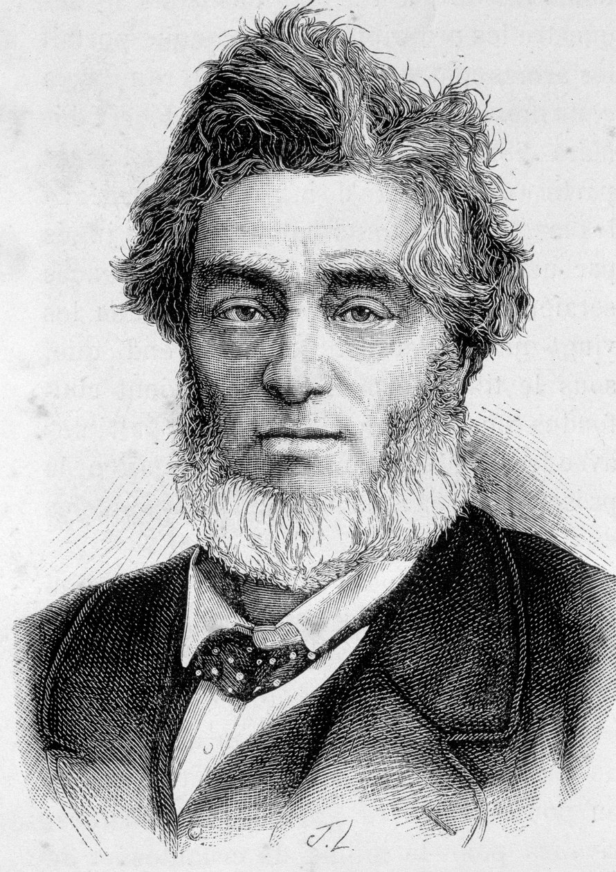 Portræt af Jules Favre (1809 -1880), fransk politiker. af Unknown artist