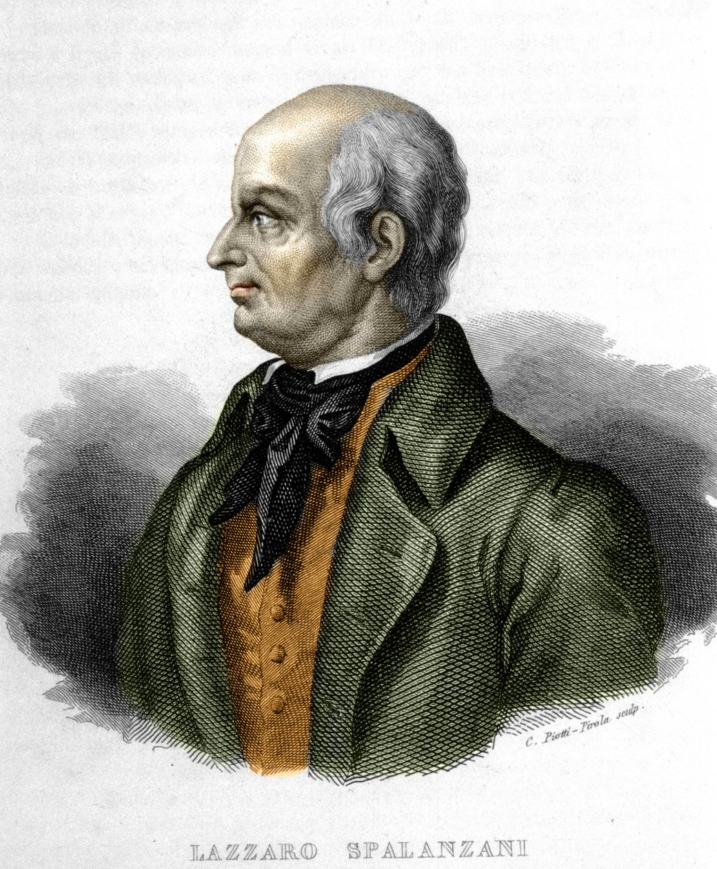 Portræt af Lazzaro Spalanzani (eller Spallanzani), italiensk biolog (1729 - 1799) af Unknown artist