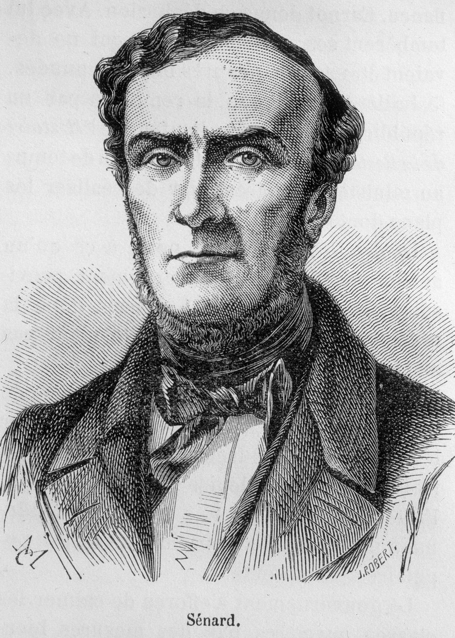 Portræt af Marie Antoine Jules Senard, medlem af Paris Bar, tidligere præsident for Nationalforsamlingen og tidligere indenrigsminister. Han forsvarede Gustave Flaubert under retssagen efter Madame Bovarys offentliggørelse. Indgravering af det 19. århundre af Unknown artist