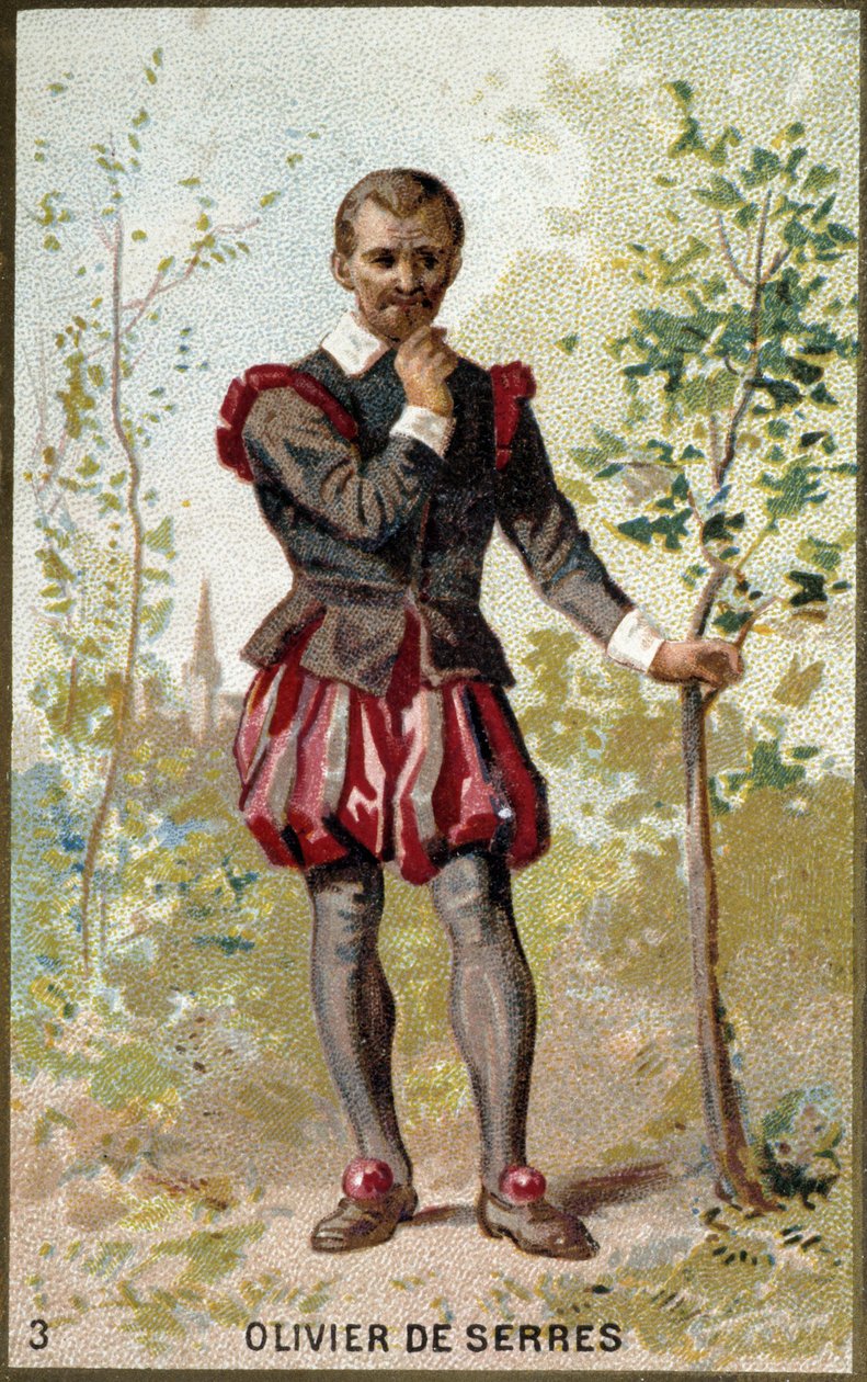 Portræt af Olivier de Serres (1539 - 1619), fransk agronom. 1800-tallets kromolitografi. af Unknown artist