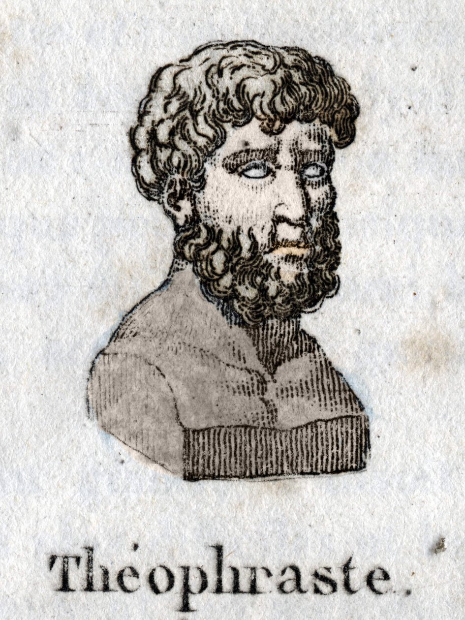 Portræt af Theophraste (372 f.Kr.-287 f.Kr.), græsk filosof. af Unknown artist