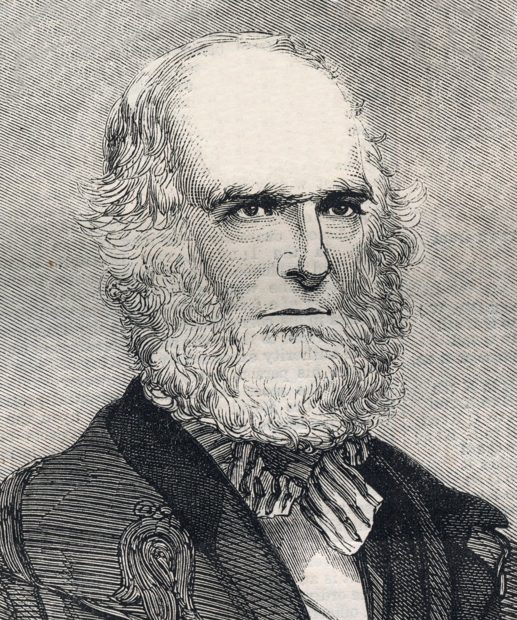 Portræt af William Cullen Bryant (1794-1878), amerikansk digter. Indgravering i "" The illustrated London News "" af 23. januar 1858. af Unknown artist