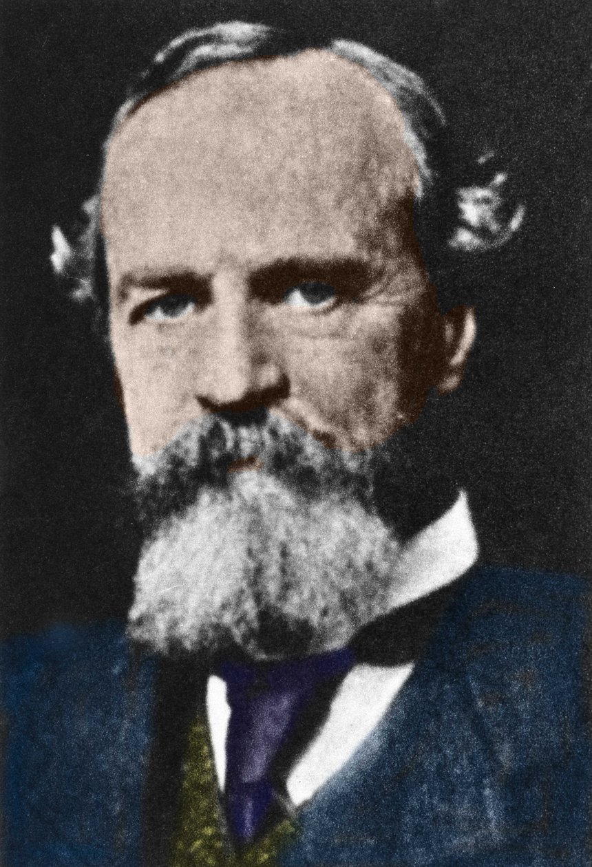 Portræt af William James (1842-1910), amerikansk pragmatisk filosof. af Unknown artist