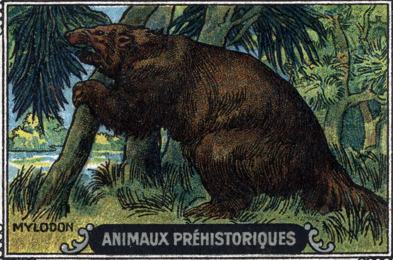 Forhistorisk dyr: en mylodon. af Unknown Artist