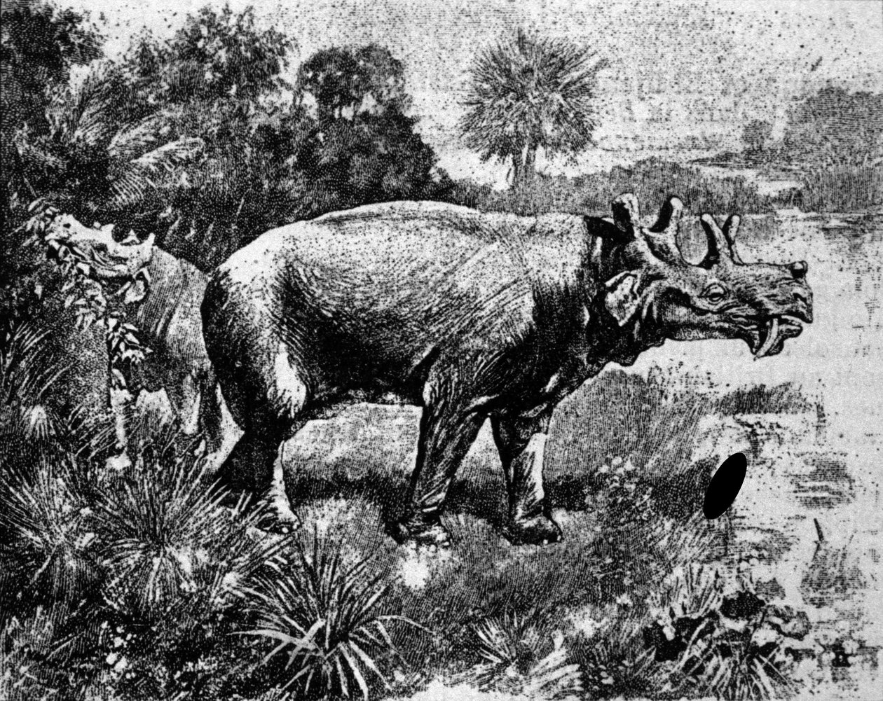 Forhistorie: repræsentation af en fire-hornet Uintatherium dinosaur. af Unknown artist