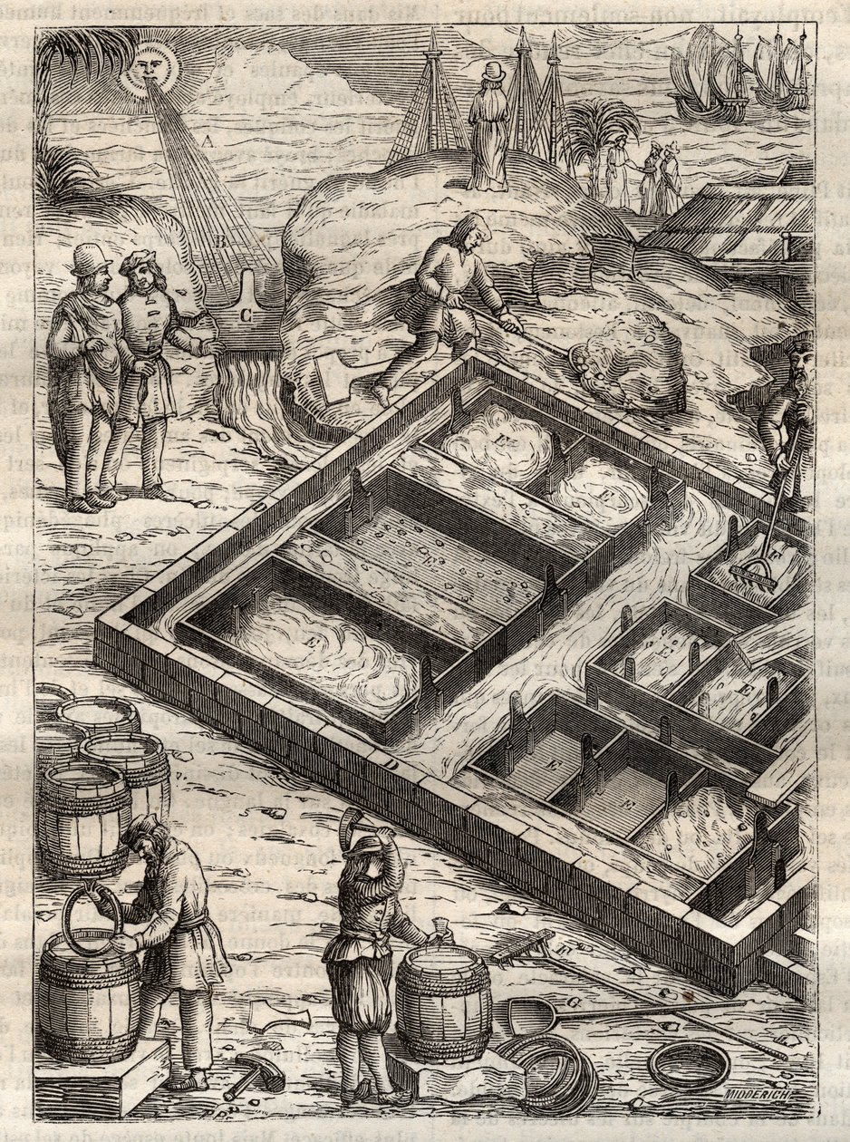 Fremstilling af salt ved at fordampe havvand i saltpander. Fra "" De re metallica"" af Georgius Agricola (Georg Bauer). (Basel 1556) - Saltproduktion: Havvand hældt i store skåle fordamper og efterlader saltdepot. Gravering fra "" De re metallica"" af G af Unknown artist