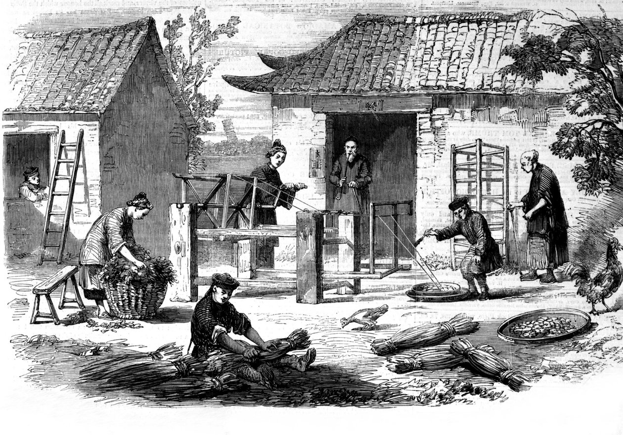 Produktion af silke i Kina og de forskellige stadier af fremstillingen. af Unknown artist