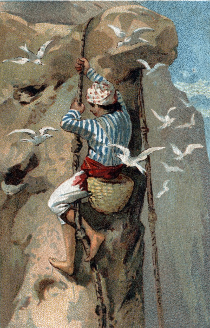 Flytning af salangan svalereder i Malaysia. Kromolitografi i slutningen af det 19. århundrede. af Unknown artist