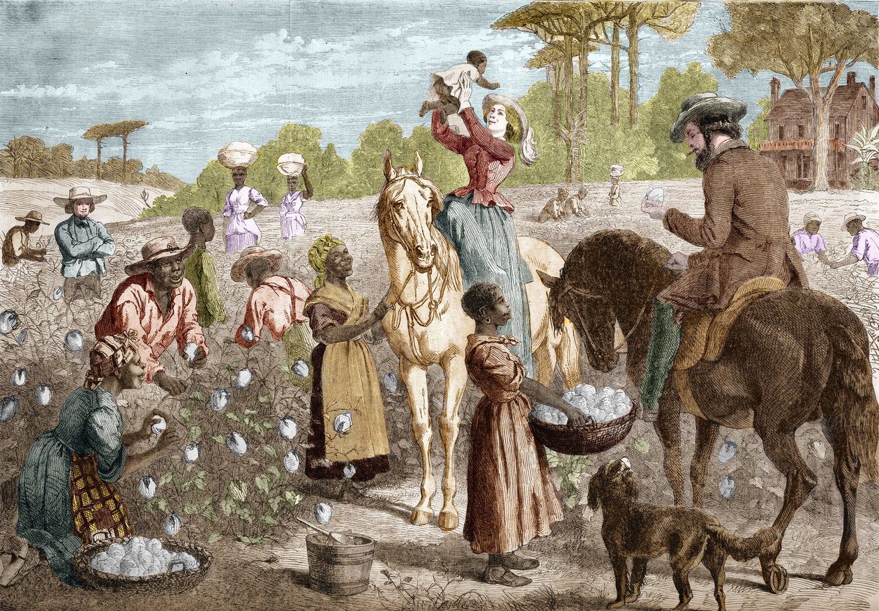 Genanvendt bomuld fra et hus i det sydlige USA i 1864. af Unknown artist