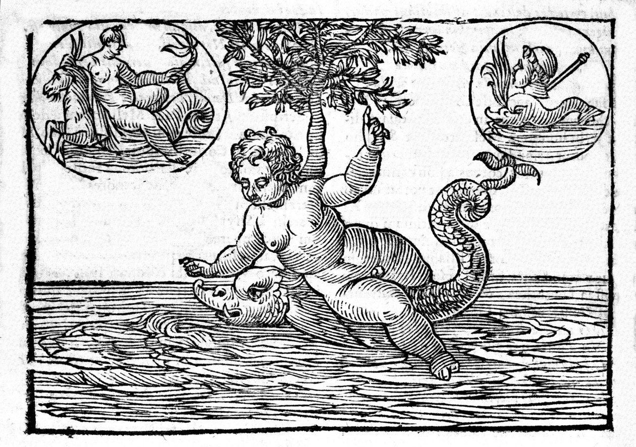 Repræsentation af Ino, havets gud, og hans søn Palemon. Gravering fra "Mytologi eller forklaringer af historier" givet af Natalis Comitis. 1637 af Unknown artist