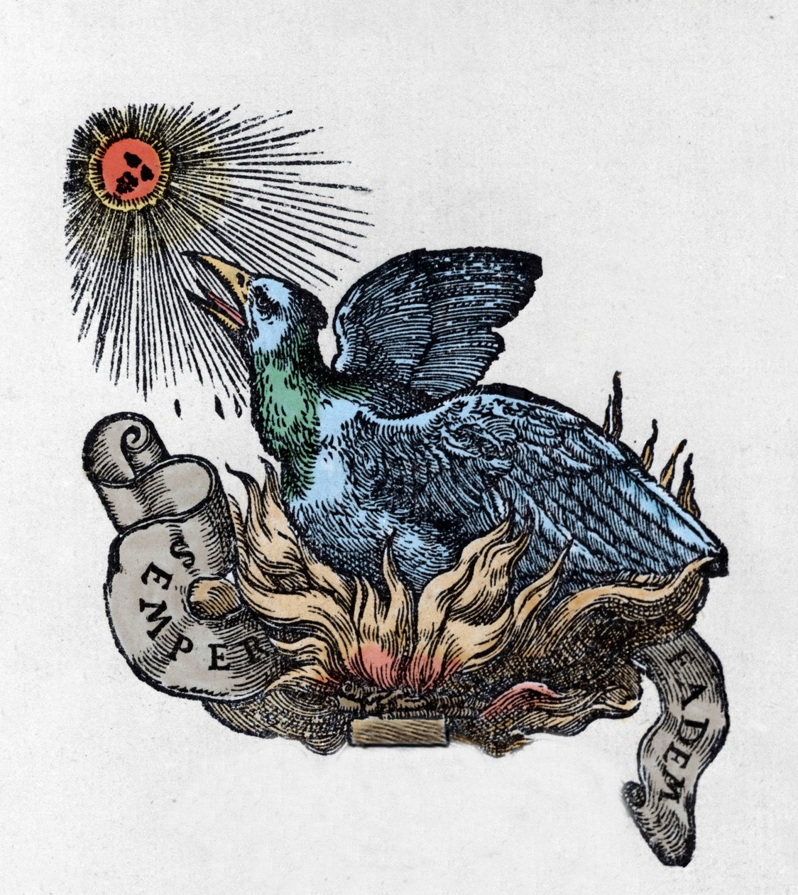 Repræsentation af en Føniks (eller Føniks), legendarisk fugl, genfødt fra sin aske. Indgravering af det 19. århundrede af Unknown artist