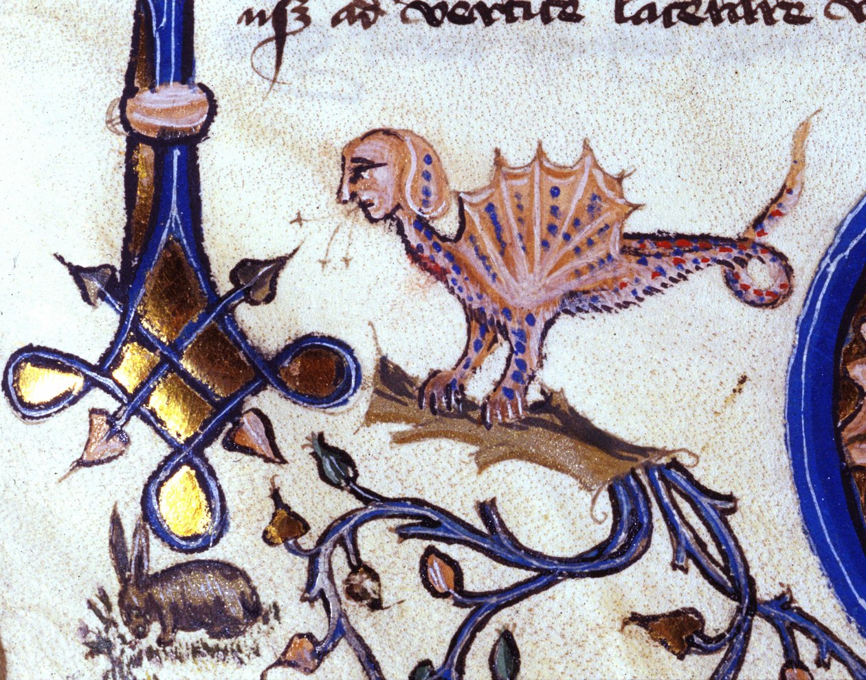 Repræsentation af et fantastisk dyr mi man mi drage. Miniature af et manuskript fra det 14. århundrede af Unknown artist