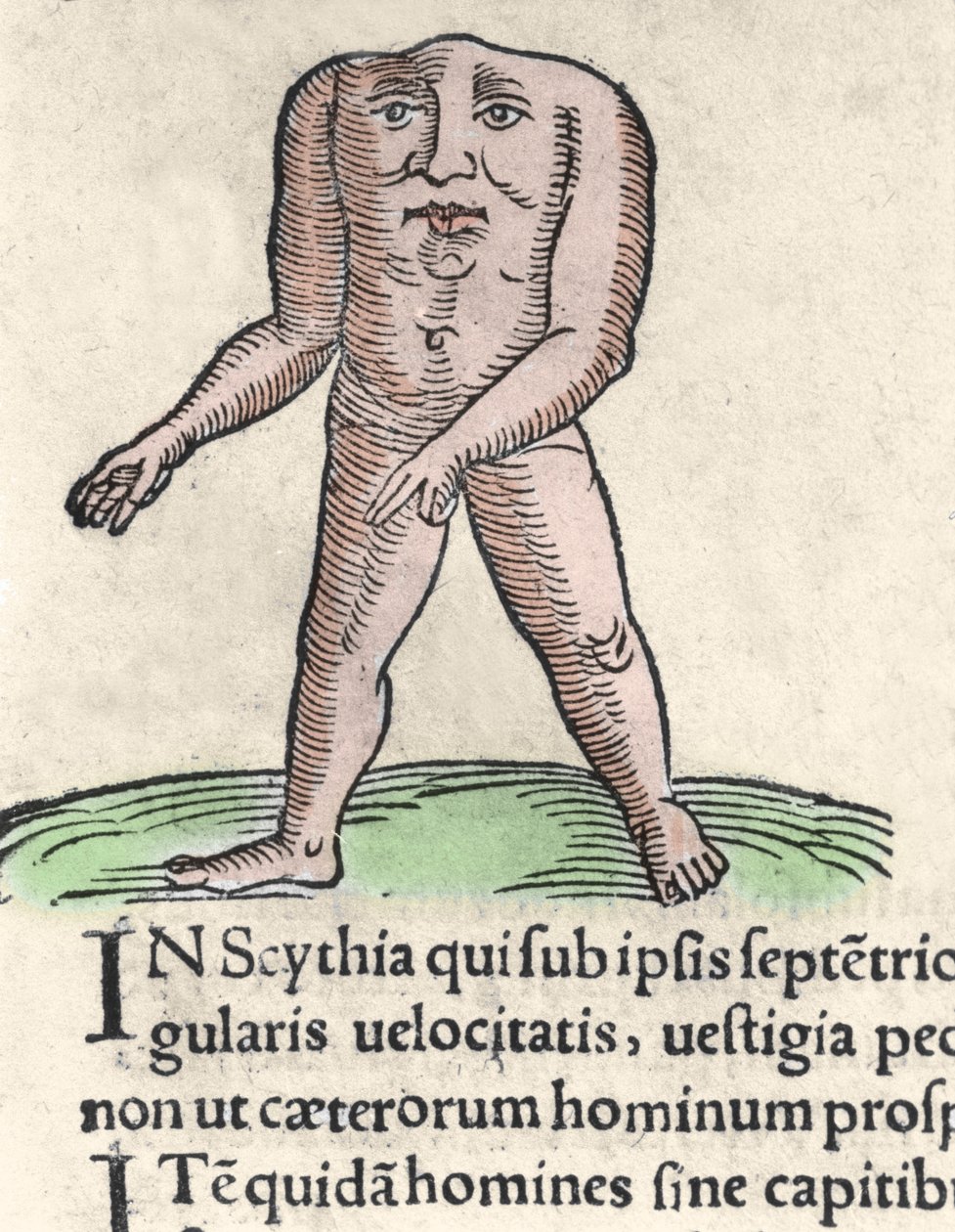 Repræsentation af et medlem af Blemmyi-stammen i Nubien, beskriver uden hoved, uden hals og ansigt på stammen af Plinius den tidligere indgravering fra "Prodigiorum ac ostentorum chronicon"" af Conrad Lycosthenes (1518-1561). 1557. af Unknown artist
