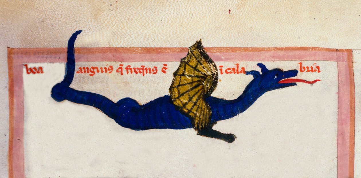 Repræsentation af en miniature-vingedrage taget fra "" Cosmographia"" af Julius Solinus af Unknown artist