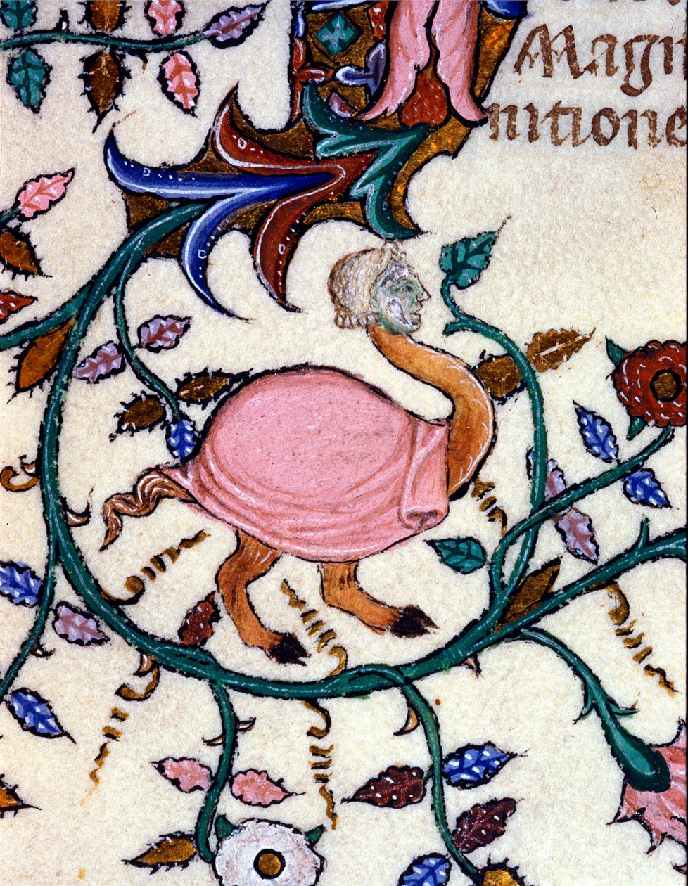 Repræsentation af et monster med en strudsekrop og et menneskehoved. Miniature af et manuskript fra det 14. århundrede. Milano, Biblioteca Nazionale Braidense. af Unknown artist