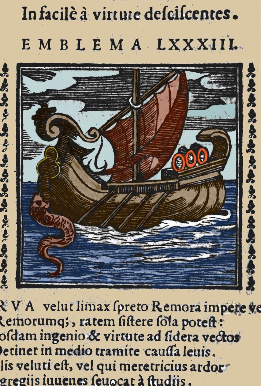 Repræsentation af en remora, der ifølge historierne om Plinius, Saint Ambrose og Rabelais angreb skibene ved at fastgøre halen med en sugekop til en sten og blokere skibet med munden. Stik fra et 1600-tals værk af Unknown artist