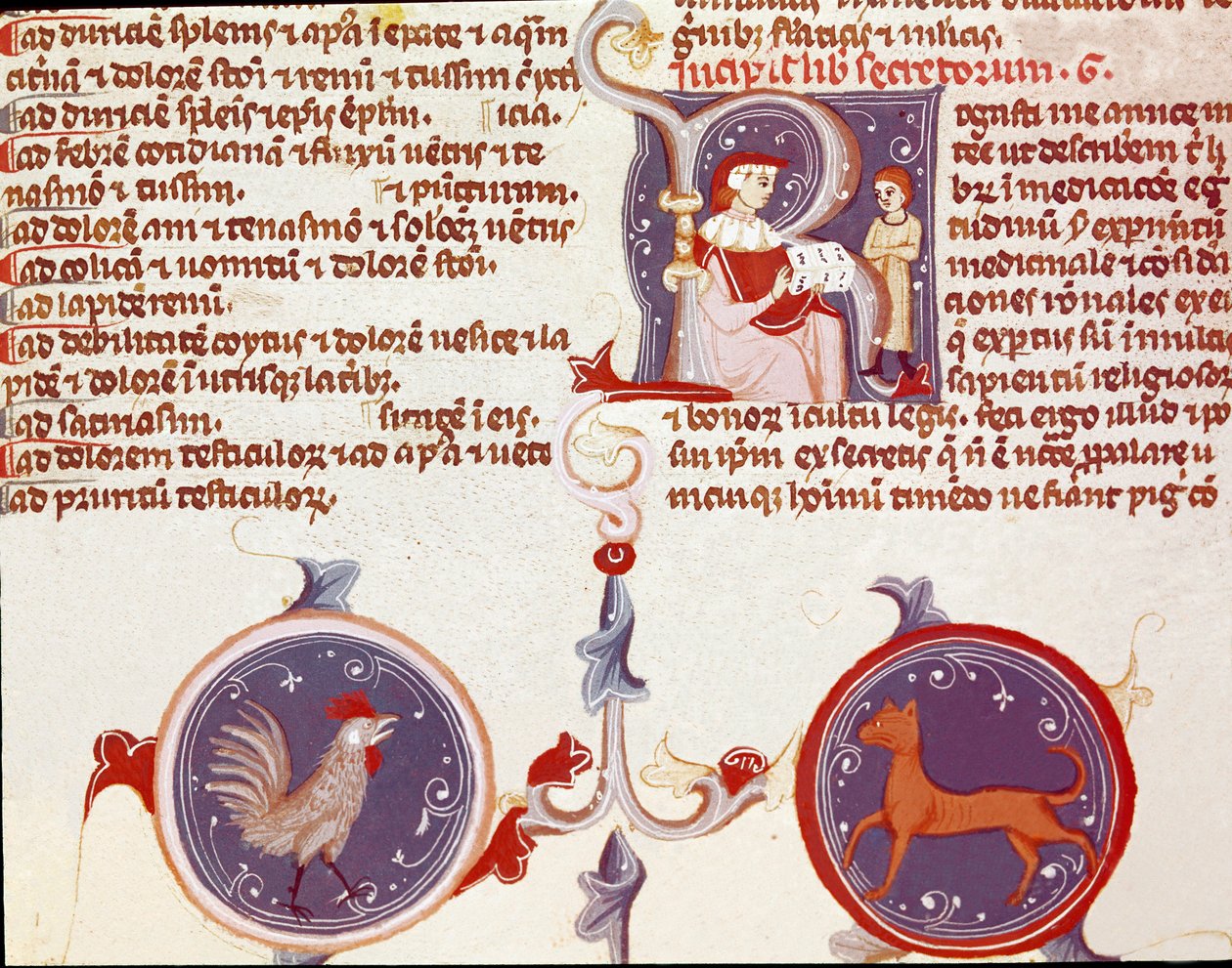 Repræsentation af en hane og en kat, oven på to karakterer, sandsynligvis oversætteren, der præsenterer sit arbejde for lægen. (miniature af Unknown artist