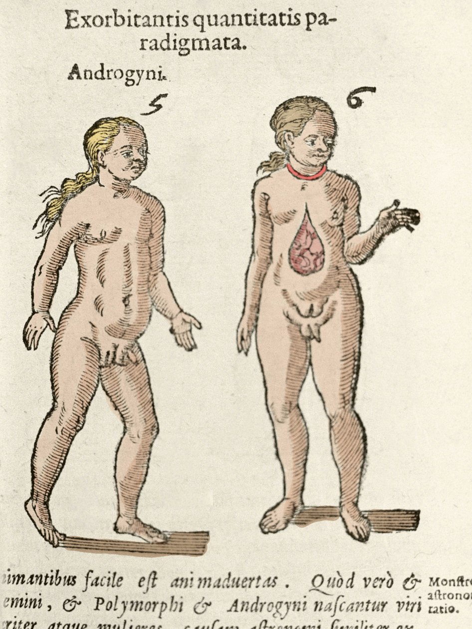 Repræsentation af en androgyn og en hermafrodit. Tallerken taget fra De natura Divinis caracteris"" af Cornelio Gemma 1575 af Unknown artist