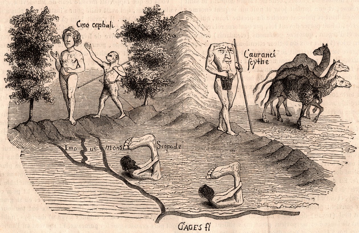 Repræsentation af middelalderstammer og dyrearter: Monocules, Blemmys, Sciopodes og kameler af Unknown artist