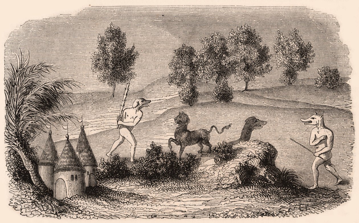 Repræsentation af middelalderlige stammer og dyrearter: to Cynocephalus-kampmonstre af Unknown