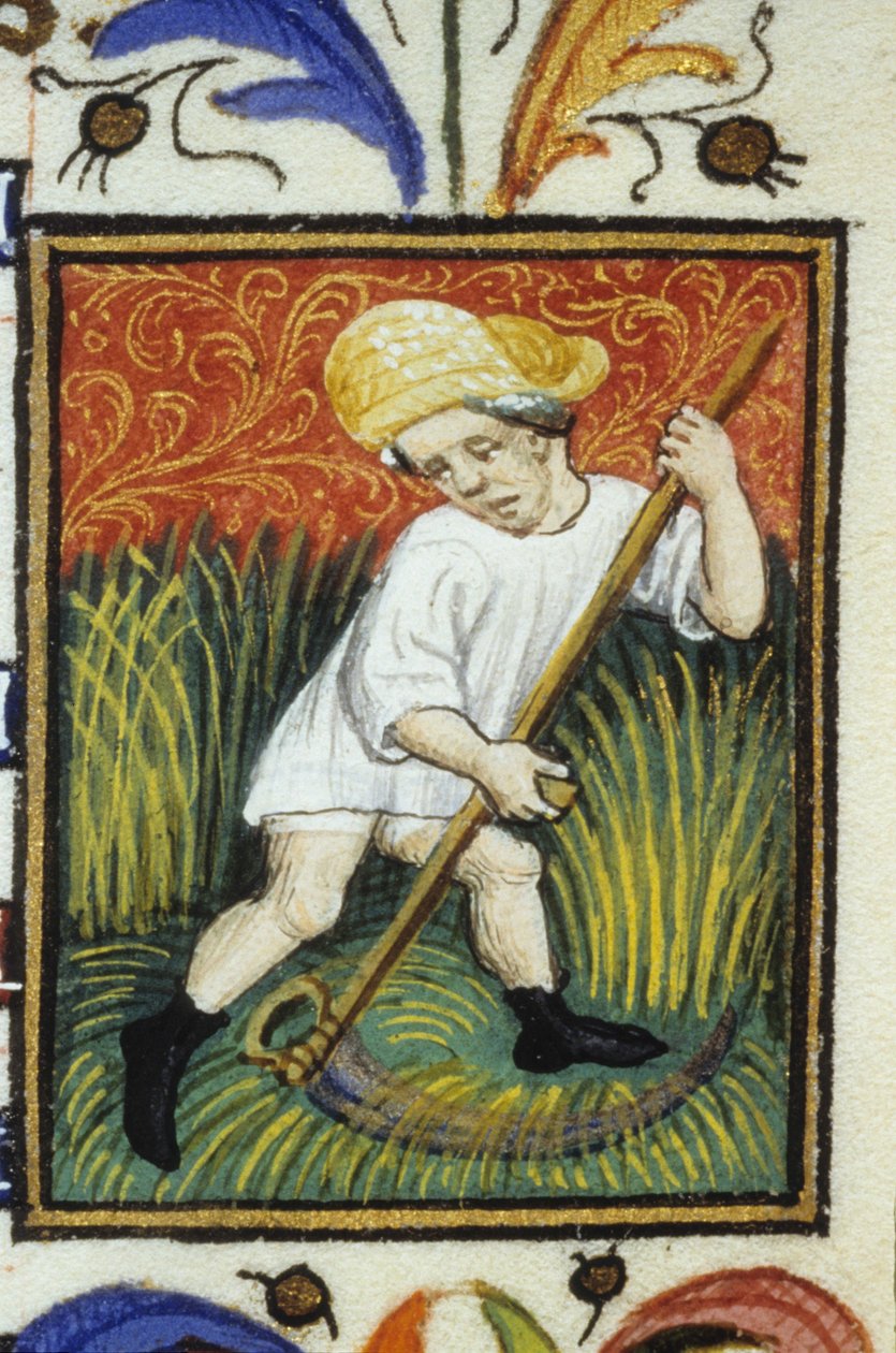 Repræsentation af juni måned. En bonde, der slår grøn hvede. Miniature af et manuskript fra det 14. århundrede. af Unknown artist