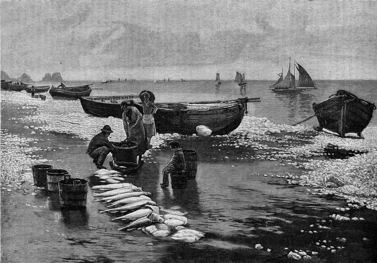 Fiskernes tilbagevenden under strejken ved Belle Isle (Belle-Isle) i Bretagne. Gravering i "" Le Journal de la jeunesse"" af Unknown artist