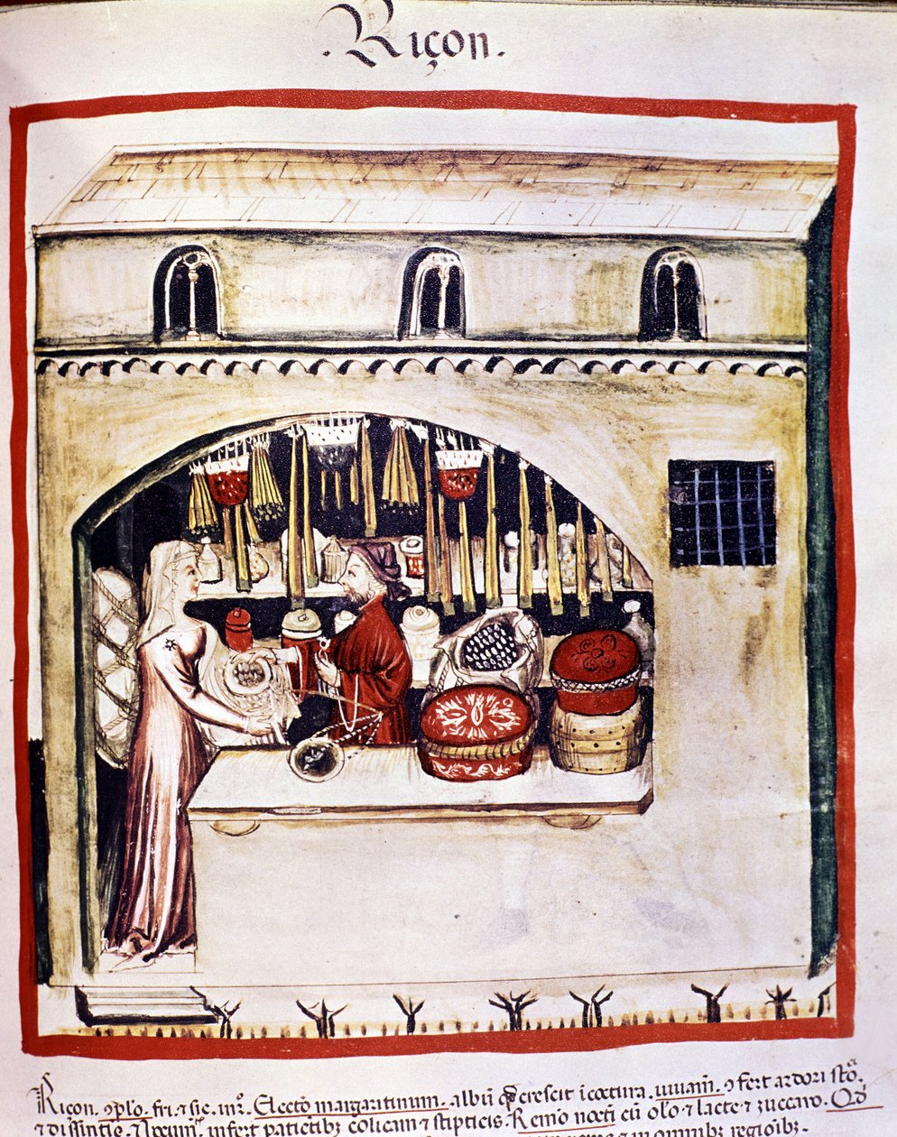 Rissælger - i Tacuinum Health af Unknown artist