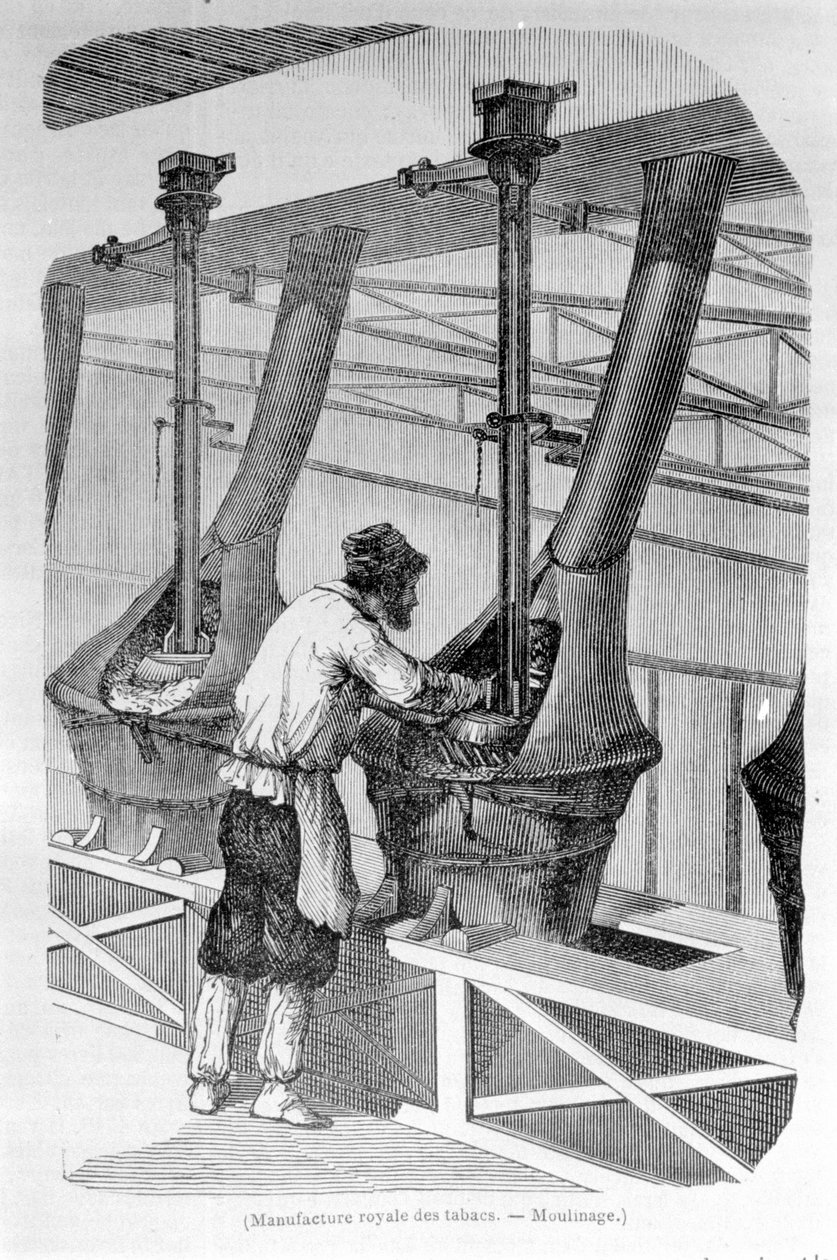 Royal Tobacco Factory: tobaksfræsning. 1800-tals gravering. af Unknown artist