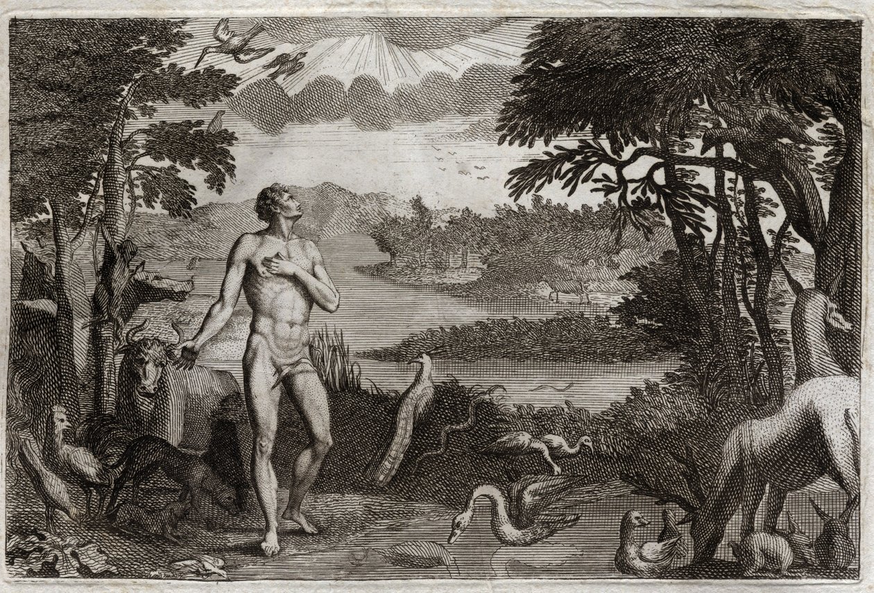 Royaumont Bibelen, Det Gamle Testamente: Skabelsen af mand og kvinde. Gud, som skabte mennesket, sætter det i det jordiske paradis, og forbyder det at spise af frugten fra træet til kundskab om godt og ondt. Illustration fra 1811. af Unknown artist