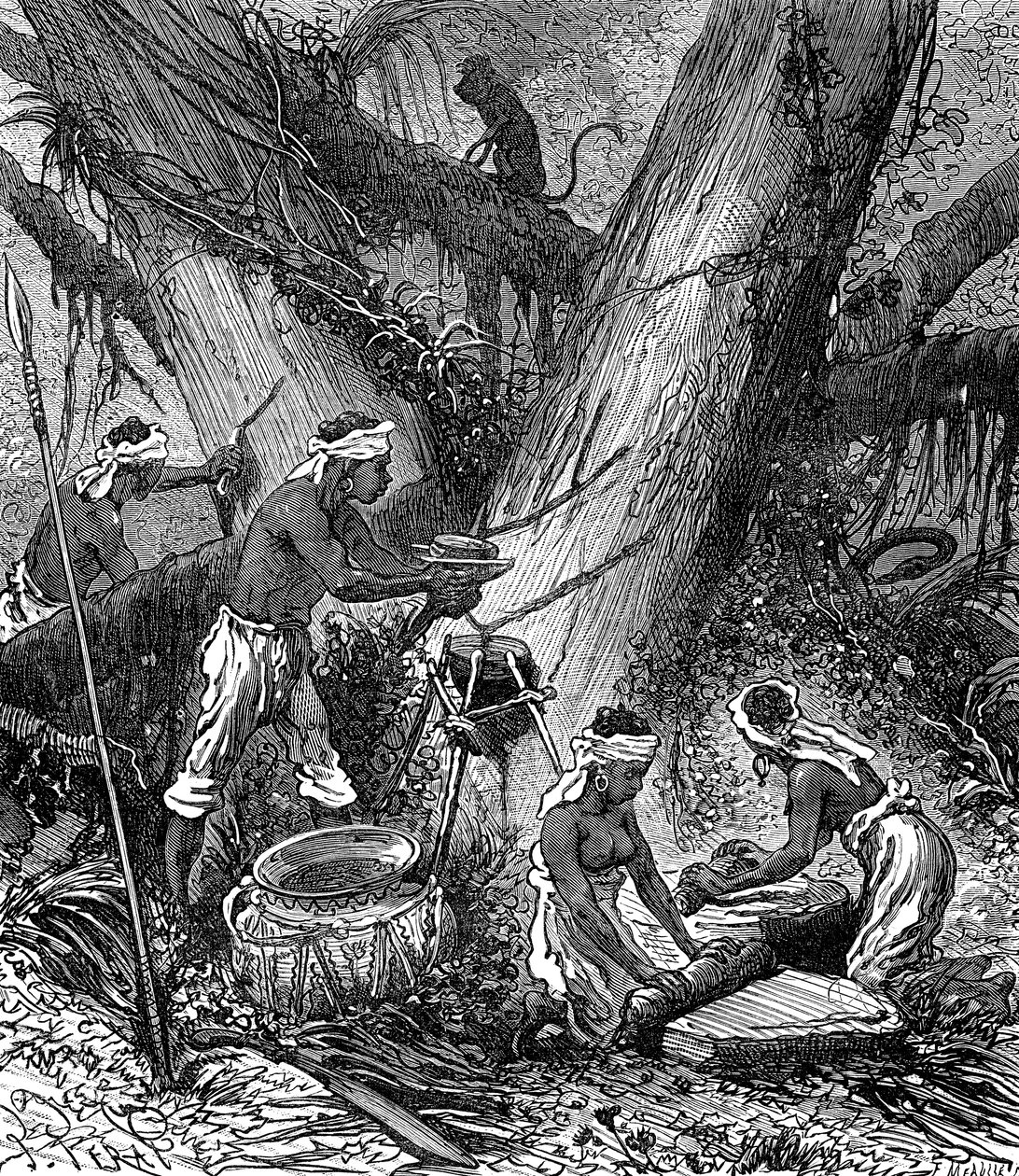 Gummihøst i en skov i Malaysia (gravering) af Unknown Artist