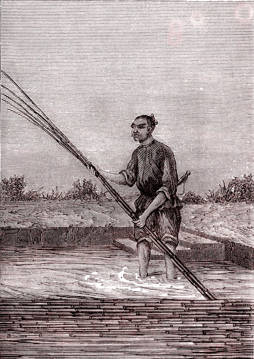 Rustning af den våde bambus, papirfremstilling i Kina (3. århundrede f.Kr.) (gravering) af Unknown Artist