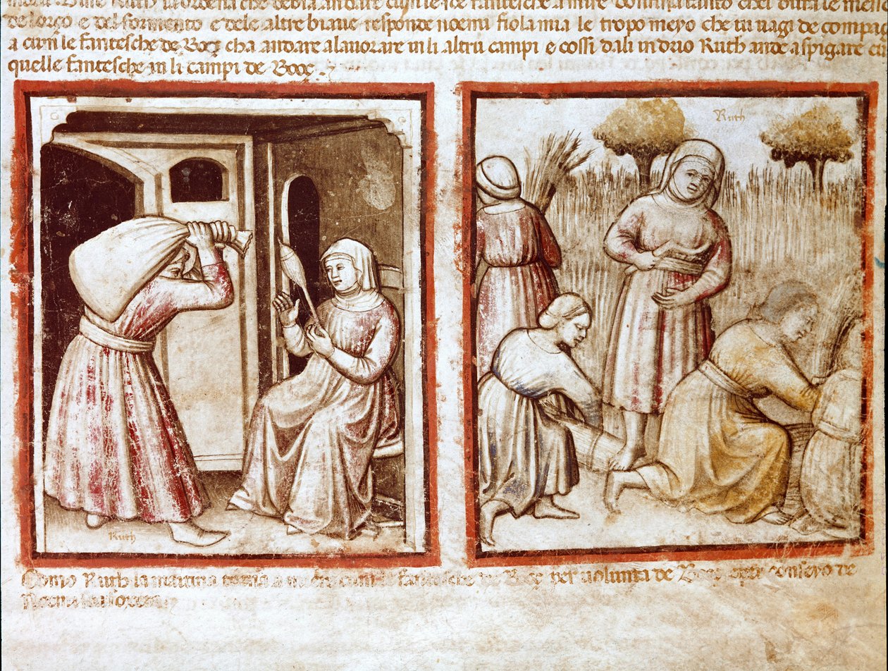 Ruth og Noemi (Naomi, Noemie) arbejder i felterne Boaz (Booz) Miniature fra codex 212 (eller padovano codex eller Bible of Padua) 1390-1400 Rovigo, Accademia dei Concordi af Unknown artist