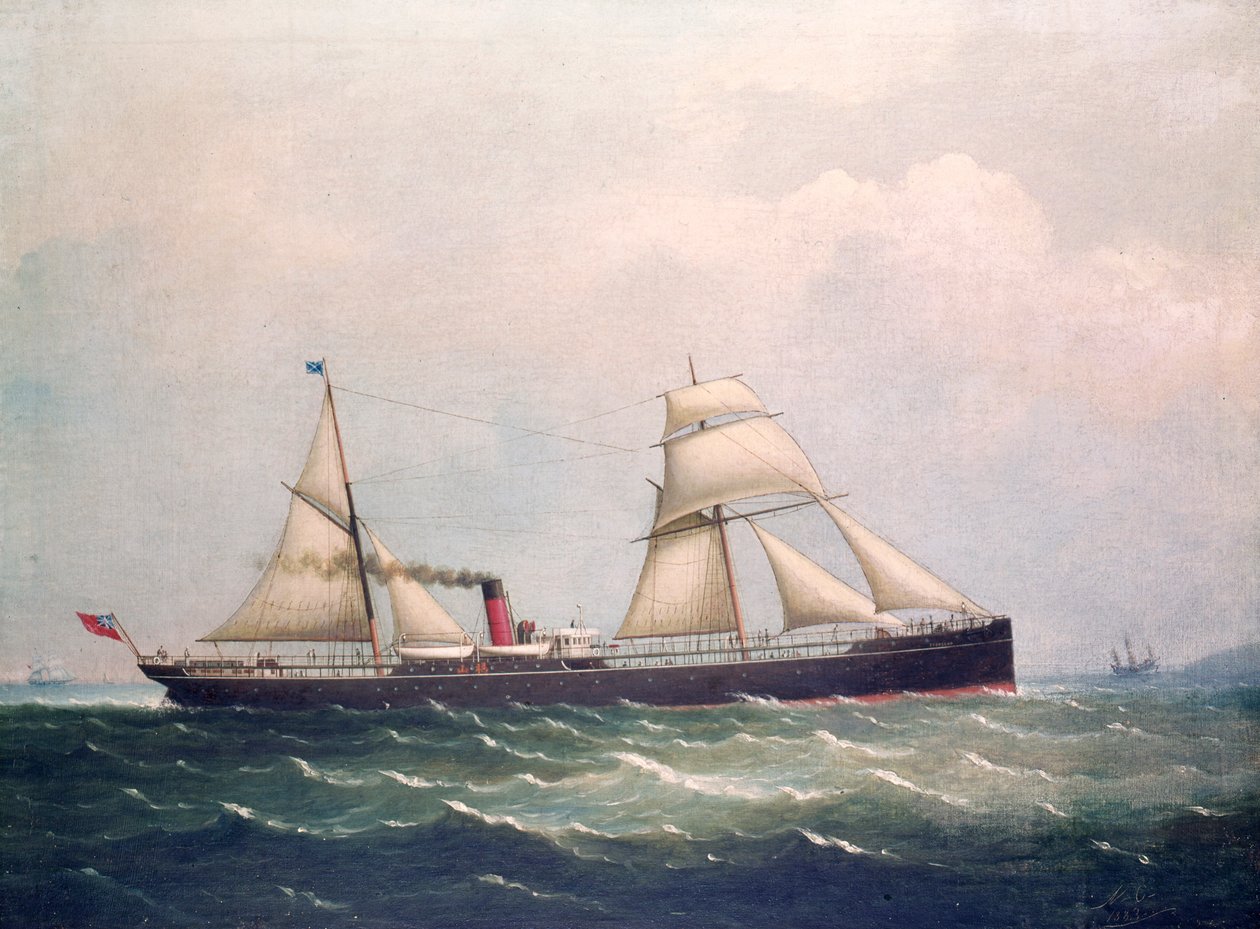 S.S Fooksang (olie på lærred) af Unknown artist